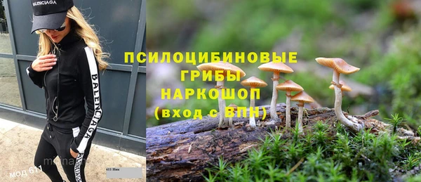 дмт Ростов